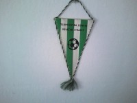 /album/zilina1/zilina-strazov-tj-povazan-16-jpg/